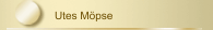 Utes Möpse