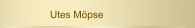Utes Möpse